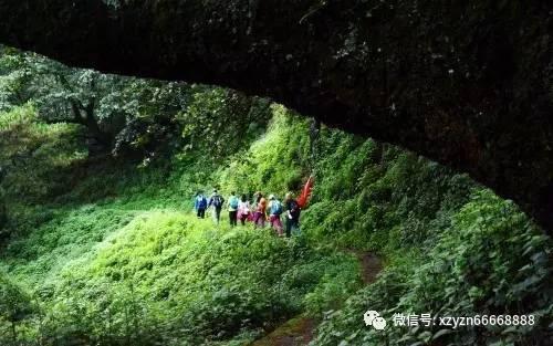虎胆熊威2中文版
